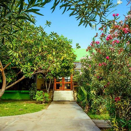 Hotel Del Valle Azapa Αρίκα Εξωτερικό φωτογραφία